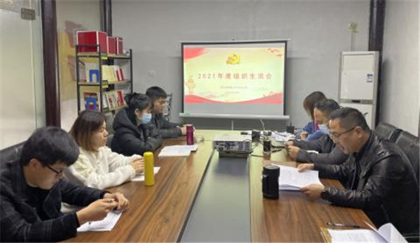 市古鎮(zhèn)投資公司各黨支部召開2021年度組織生活會(huì)